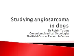 Studying angiosarcoma in dogs