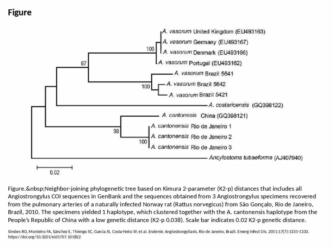 PPT-Figure Figure.&nbsp;Neighbor-joining phylogenetic tree based on Kimura 2-parameter