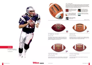 NFL LOGOBALL  Junior Sized Rubber NFL Football 