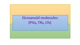 Eicosanoid  molecules  (