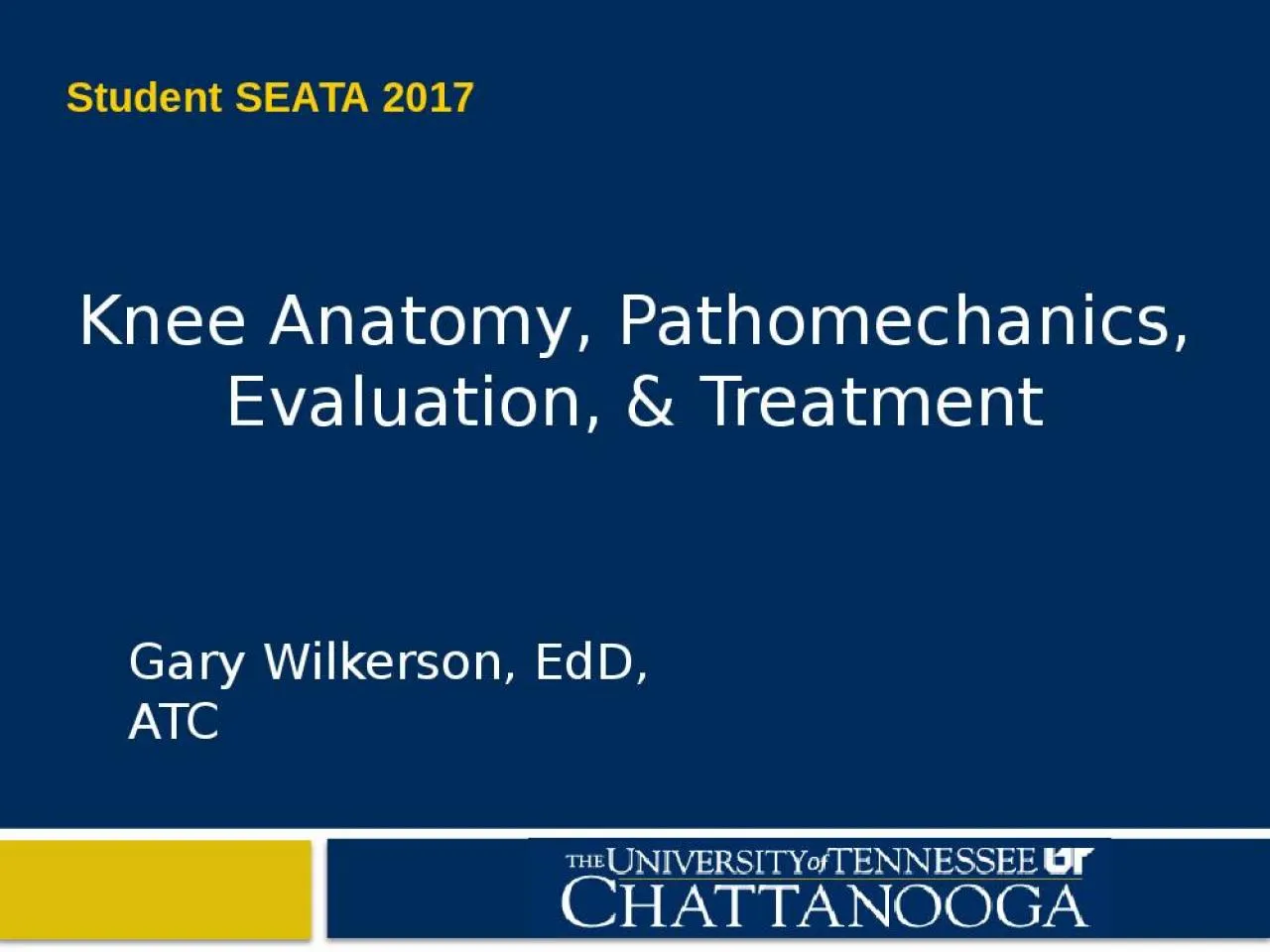 PPT-Knee Anatomy, Pathomechanics