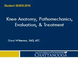 Knee Anatomy,  Pathomechanics