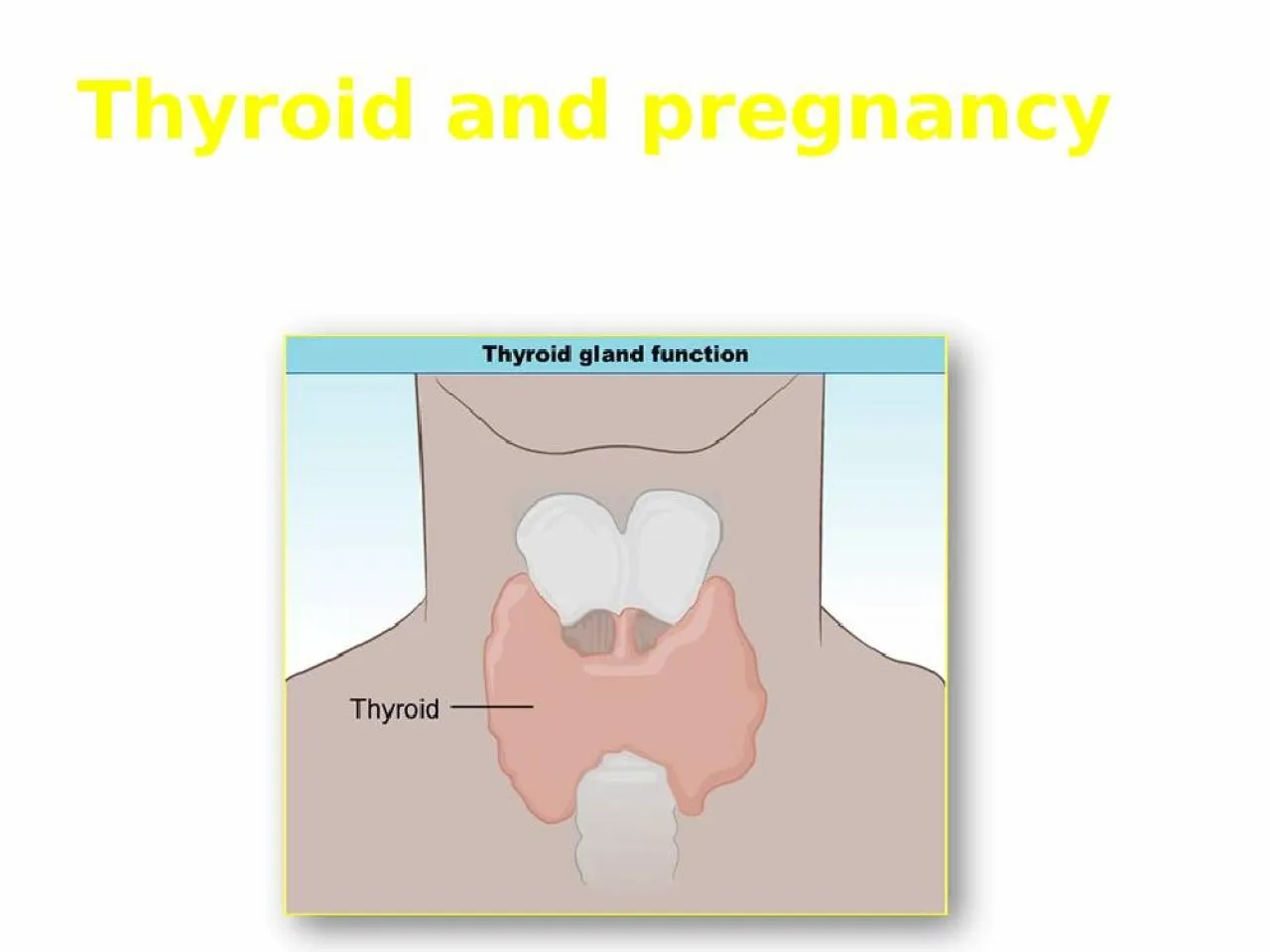 PPT-Thyroid and pregnancy Control of Thyroid Function