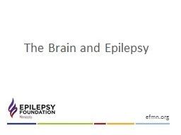 The Brain and Epilepsy efmn.org