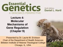 PPT-Lecture 4: Molecular Mechanisms of Gene Regulation