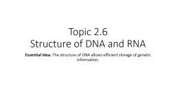 Topic 2.6  Structure of DNA and RNA