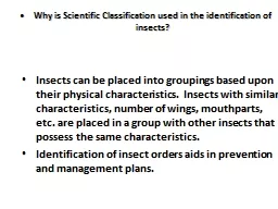 Why is Scientific Classification used in the identification of insects?