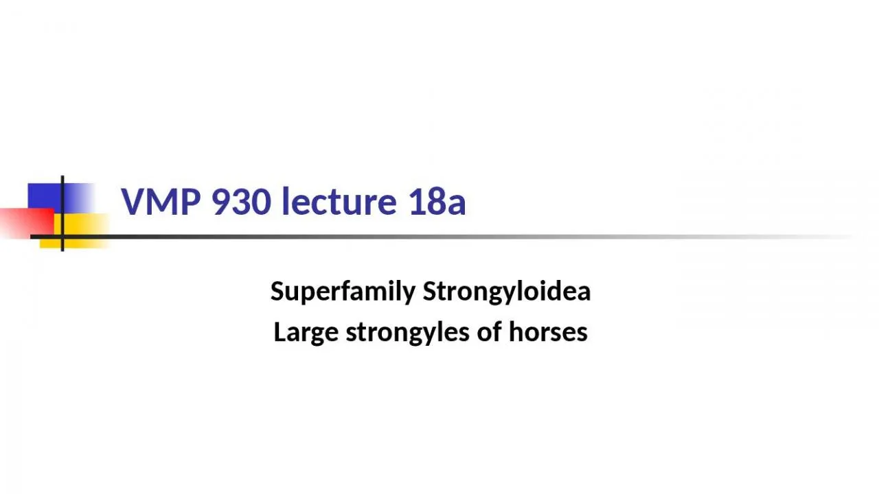 PPT-VMP 930 lecture 18a Superfamily