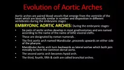 Evolution of Aortic Arches