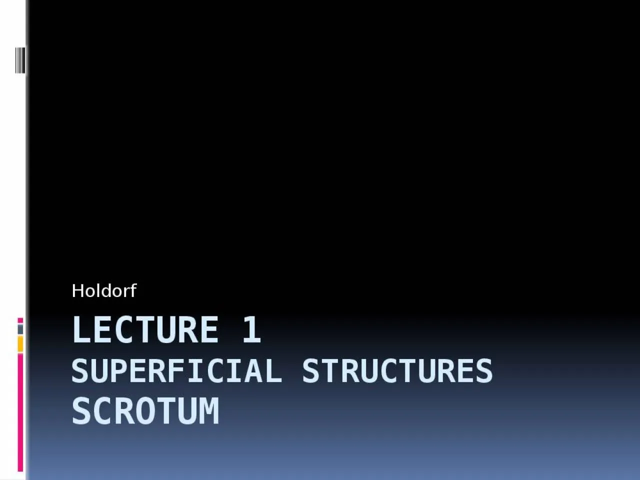 PPT-Lecture 1 superficial structures