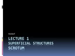 Lecture 1 superficial structures