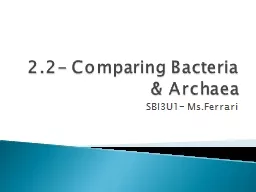 2.2- Comparing Bacteria & Archaea