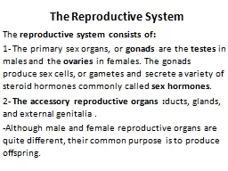 The Reproductive System The