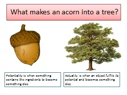 What makes an  acorn into a