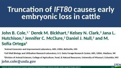 Truncation of  IFT80  causes early embryonic loss in cattle