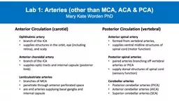 Lab 1: Arteries (other than MCA, ACA & PCA)