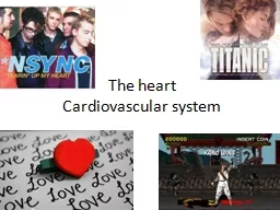 PPT-The heart Cardiovascular system