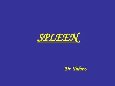 SPLEEN Dr  Tabrez It is a haemo-lymph organ