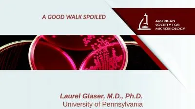 Laurel Glaser,  M.D., Ph.D