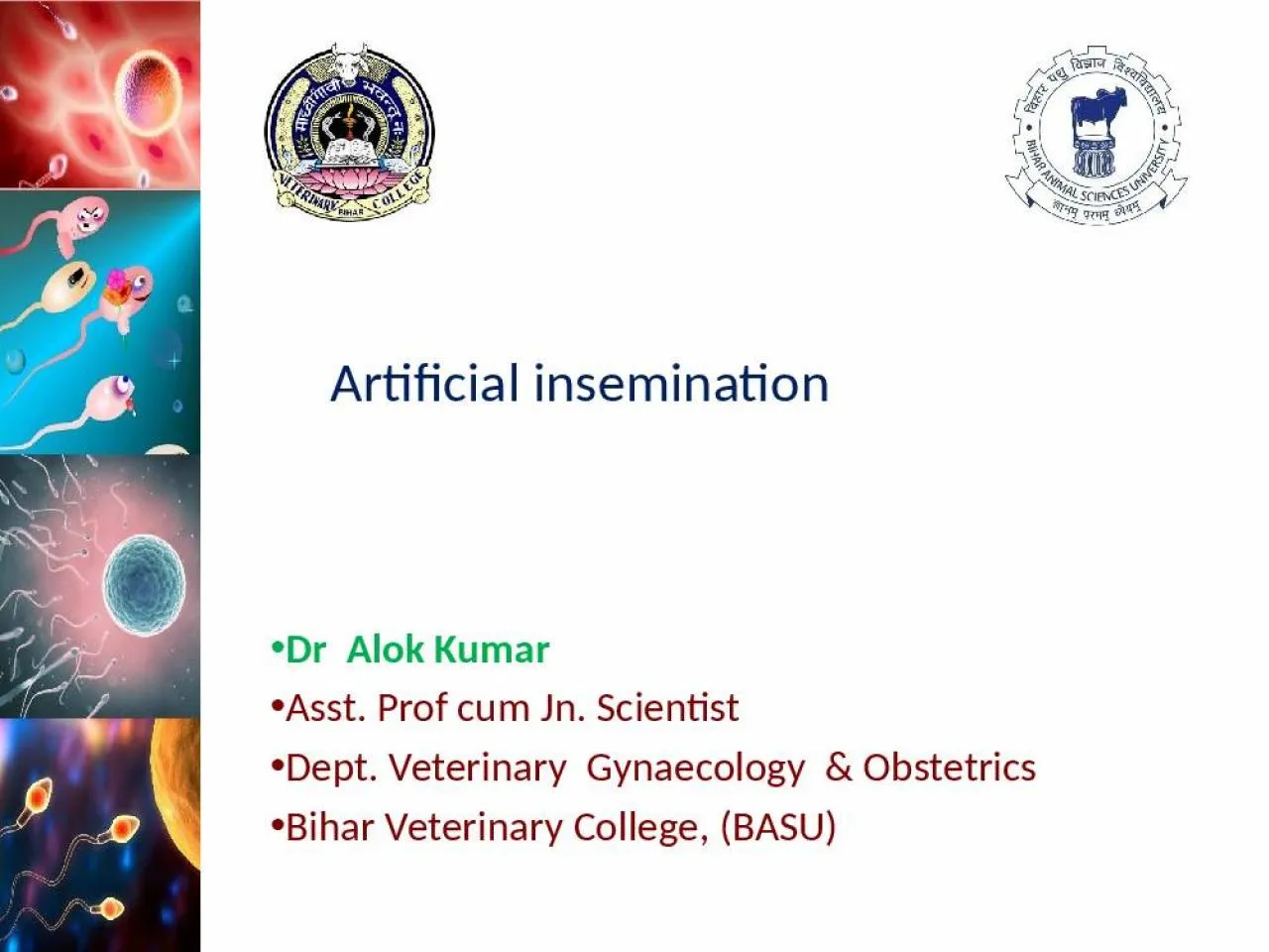 PPT-Artificial insemination Dr Alok Kumar