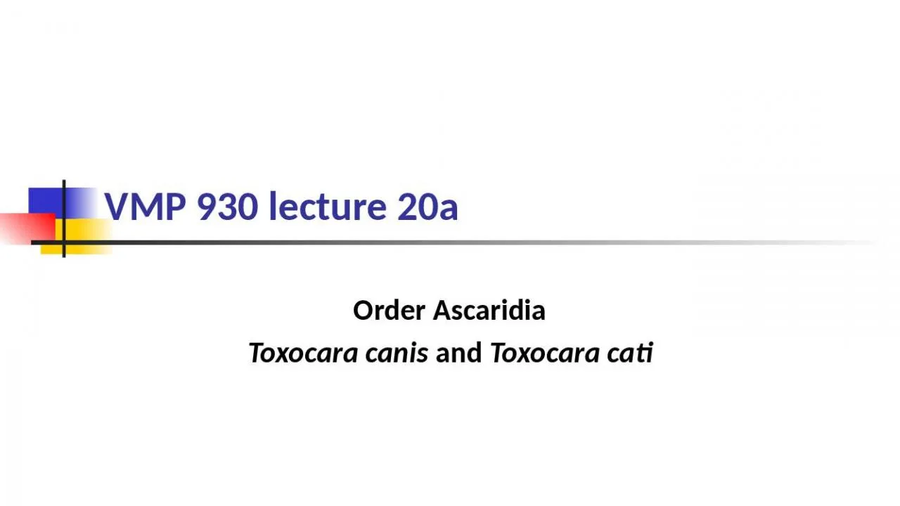 PPT-VMP 930 lecture 20a Order