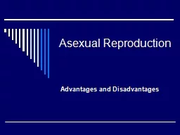 PPT-Asexual Reproduction Advantages and Disadvantages