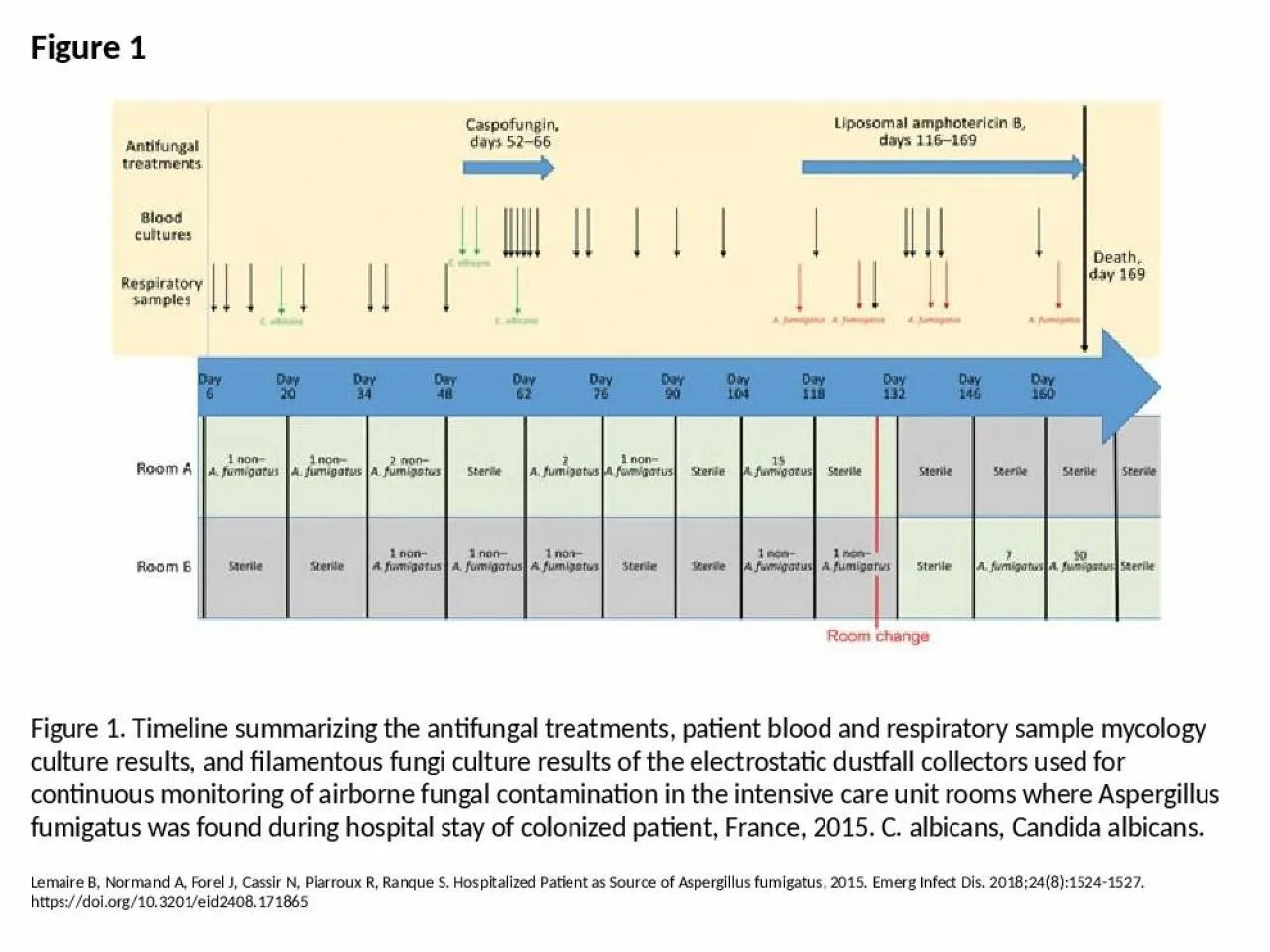 PPT-Figure 1 Figure 1. Timeline summarizing the antifungal treatments, patient blood and respiratory