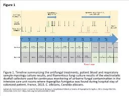Figure 1 Figure 1. Timeline summarizing the antifungal treatments, patient blood and respiratory