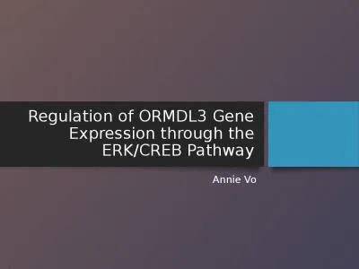 Regulation of ORMDL3 Gene Expression through the ERK/CREB Pathway