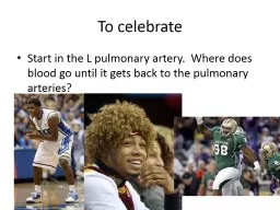 To celebrate Start in the L pulmonary artery.  Where does blood go until it gets back