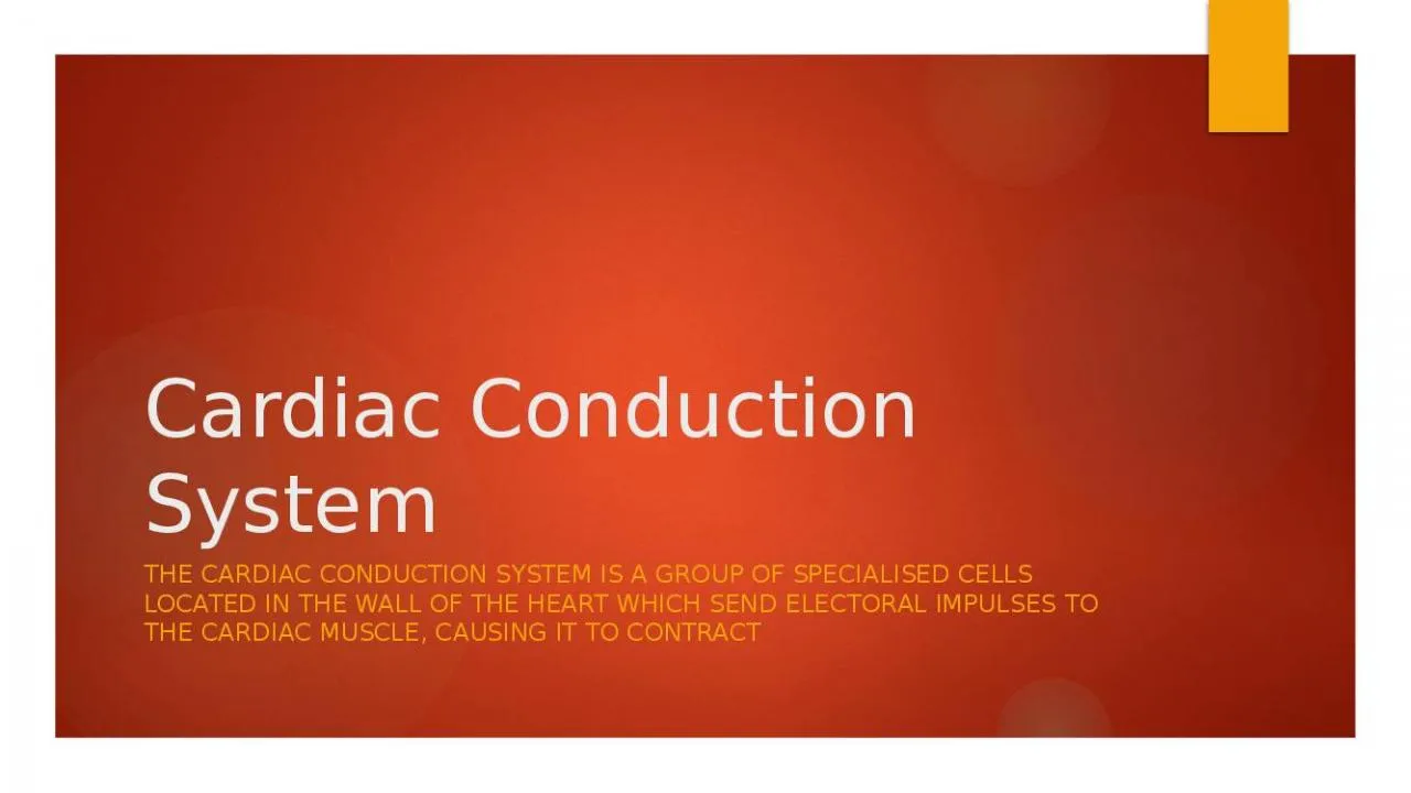 PPT-Cardiac Conduction System