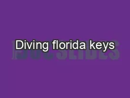 Diving florida keys
