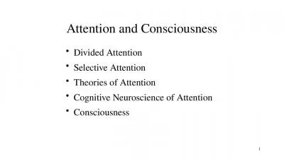 PPT-Attention and Consciousness