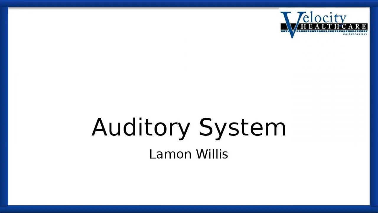 PPT-Auditory System Lamon Willis