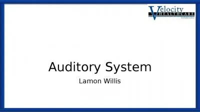 Auditory System Lamon Willis