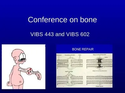 Conference on bone VIBS 443 and VIBS 602