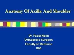 Anatomy Of  Axilla  And Shoulder