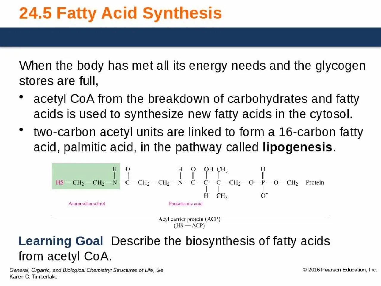 PPT-24.5 Fatty Acid Synthesis