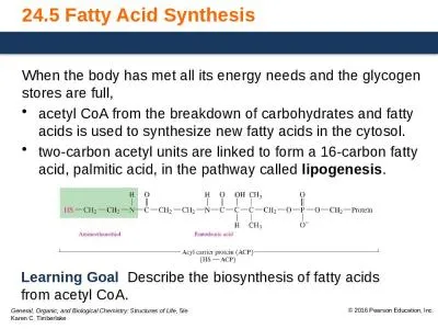 24.5 Fatty Acid Synthesis