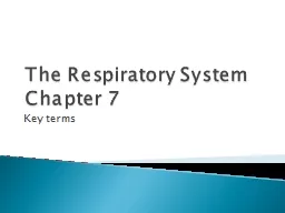 The Respiratory System Chapter 7