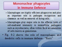 Mononuclear phagocytes  in Immune