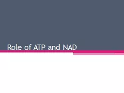 Role of ATP and NAD H2.2.8