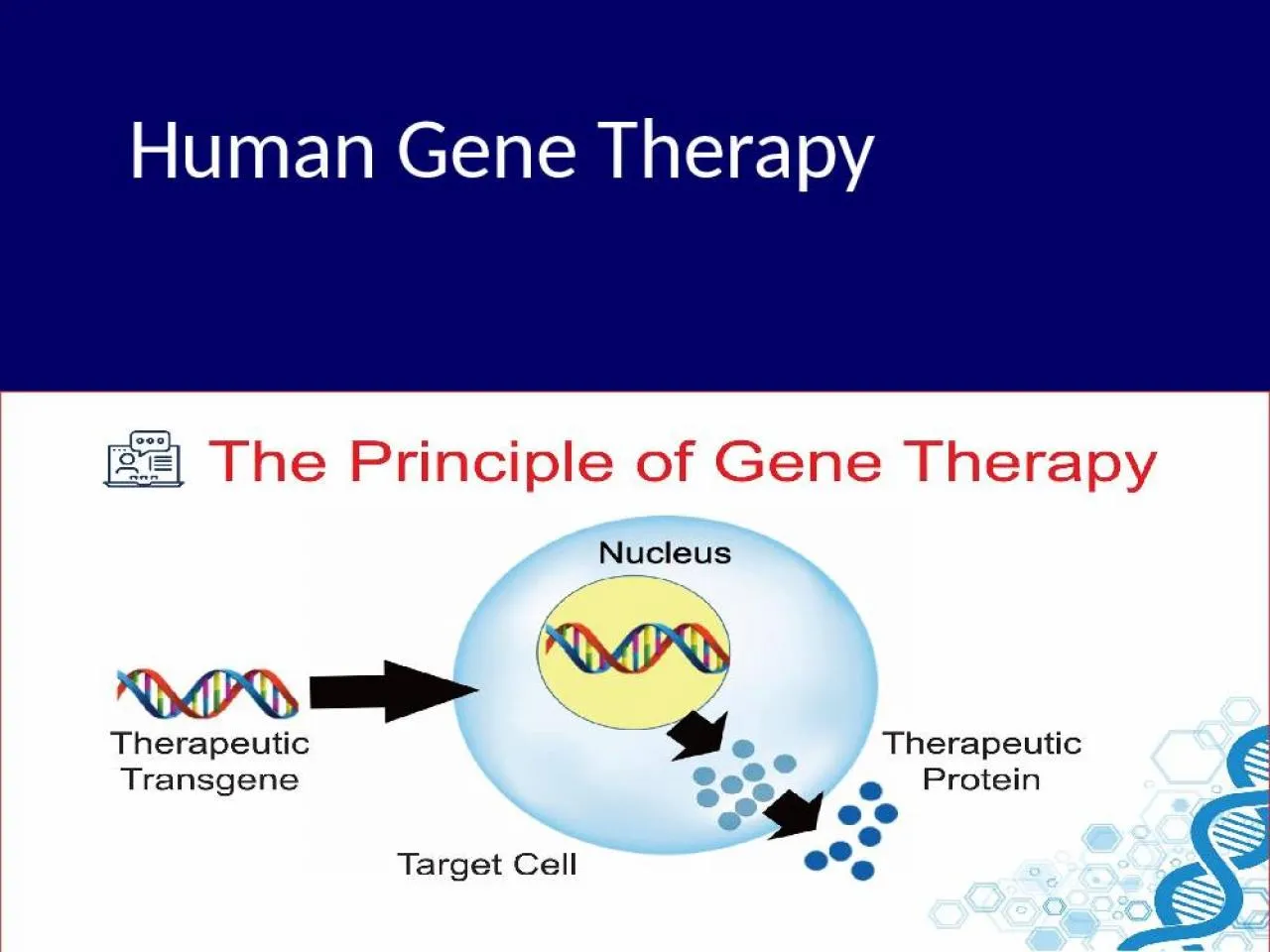 PPT-Human Gene Therapy Introduction