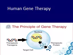 Human Gene  Therapy Introduction
