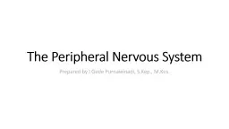 The Peripheral Nervous System