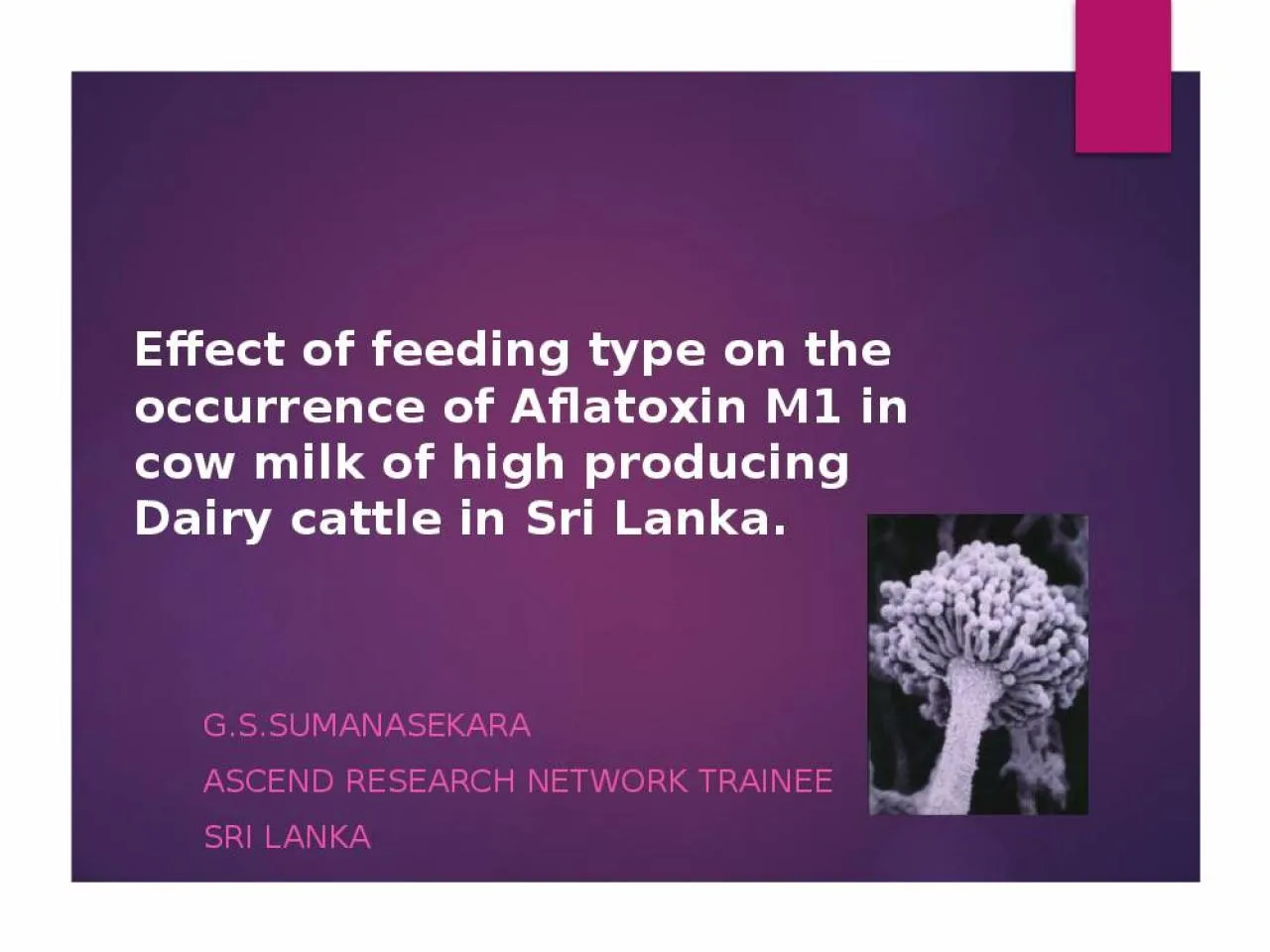 PPT-Effect of feeding type on the occurrence of