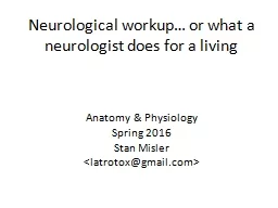 Neurological workup… or what a neurologist does for a living