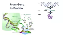 From Gene  to Protein Metabolism teaches us about genes