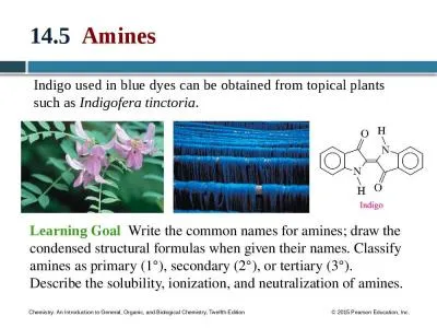 14.5   Amines Indigo used in blue dyes can be obtained from topical plants such as