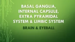Basal Ganglia, Internal capsule, extra pyramidal system & limbic system